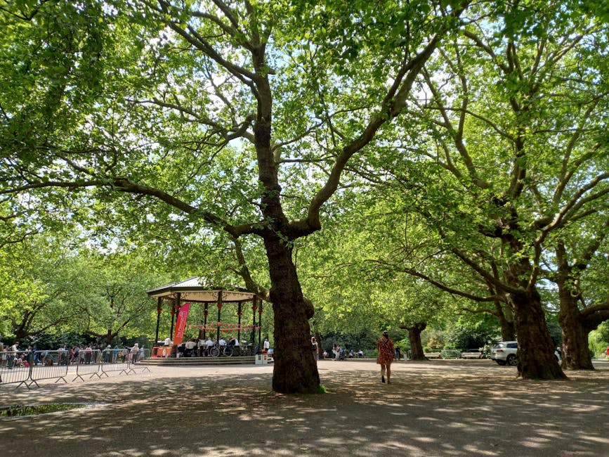 A scenic park scene featuring large, leafy green trees with sprawling branches providing dappled shade over a paved area. In the background, a small bandstand with a metal roof and red banners is visi